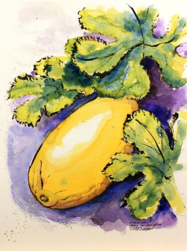 Courge du jardin Van Den Hende Dessin intitulée "Courge du jardin Va…" par René Blanchet, Œuvre d'art originale, Encre