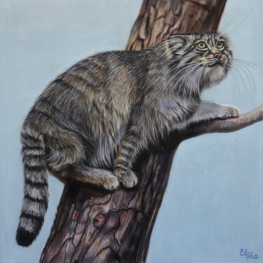 图画 标题为“Wild cat, Pallas cat” 由Elena Ushanova, 原创艺术品, 粉彩