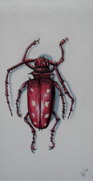 제목이 "Red Beetle"인 미술작품 Uko Post로, 원작, 기름