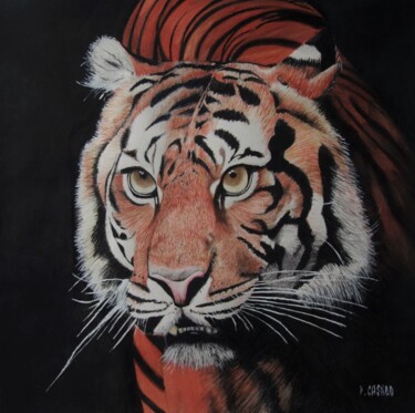 제목이 "TIGRE"인 그림 Patrick Casado로, 원작, 연필