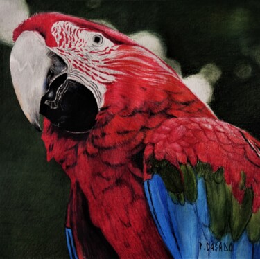 Drawing titled "ARA2" by Patrick Casado, Original Artwork, Pencil