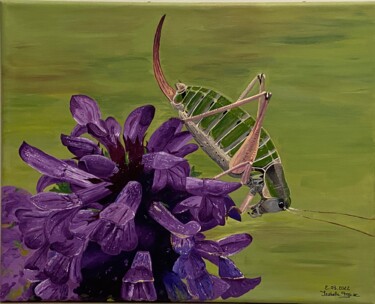 Peinture intitulée "Sauterelle Ephippig…" par Isabelle Tysiac, Œuvre d'art originale, Acrylique Monté sur Châssis en bois