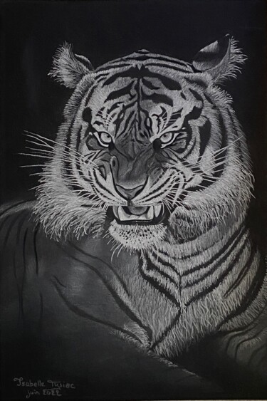 Dessin intitulée "Tigre blanc" par Isabelle Tysiac, Œuvre d'art originale, Pastel