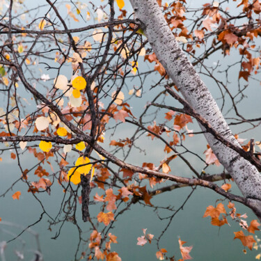 Fotografía titulada "Destello cuatro" por Gabriele Friscia, Obra de arte original, Fotografía digital