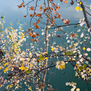 Fotografía titulada "Destello uno" por Gabriele Friscia, Obra de arte original, Fotografía digital