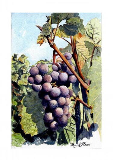 Peinture intitulée "Raisin en Brouilly…" par Marcel Boos, Œuvre d'art originale