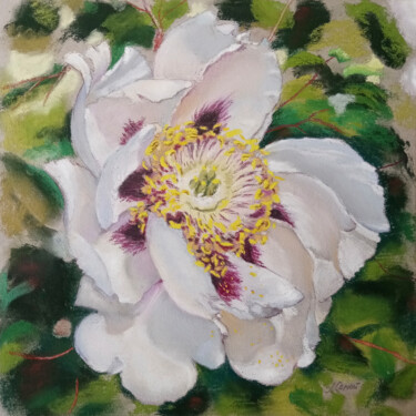 「Portrait of a white…」というタイトルの絵画 Любовь Самойловаによって, オリジナルのアートワーク, パステル