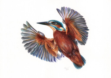 River Kingfisher II (Realistic Ballpoint Pen Bird Portrait) 图画 标题为“River Kingfisher II…” 由Daria Maier, 原创艺术品, 圆珠笔