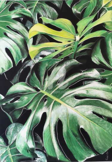 绘画 标题为“Monstera” 由Nadège Minder (Cocci), 原创艺术品, 粉彩