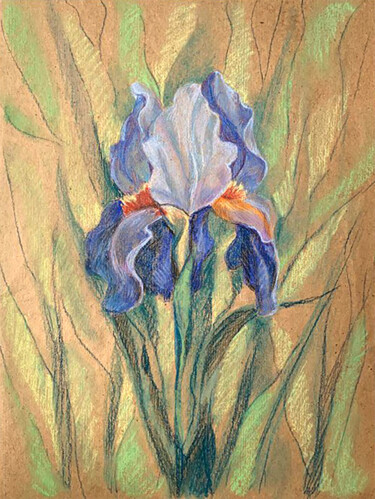 Harmony of the Iris: The Art of Nature in Pastel "Harmony of the Iris…" başlıklı Resim Yelena Rybalkina tarafından, Orijinal sanat, Pastel