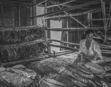 A senhora do tabaco #2 摄影 标题为“A senhora do tabaco…” 由Felipe Hueb, 原创艺术品, 数码摄影