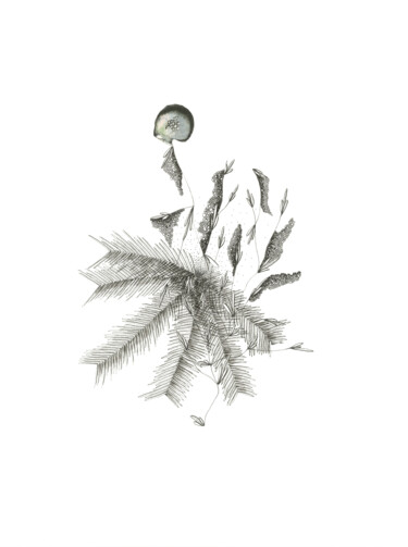 图画 标题为“Love vegetal #2” 由Caroline Thunus, 原创艺术品, 墨
