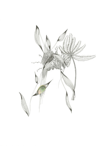 图画 标题为“Love vegetal #3” 由Caroline Thunus, 原创艺术品, 墨