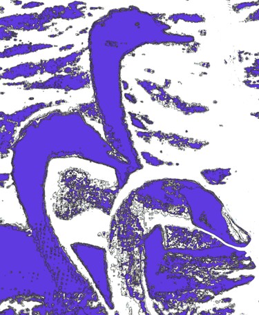 摄影 标题为“3 Swans 1g6” 由Ken Lerner, 原创艺术品, 数码摄影