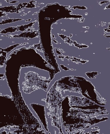 3 Swans 1g5 摄影 标题为“3 Swans 1g5” 由Ken Lerner, 原创艺术品, 数码摄影