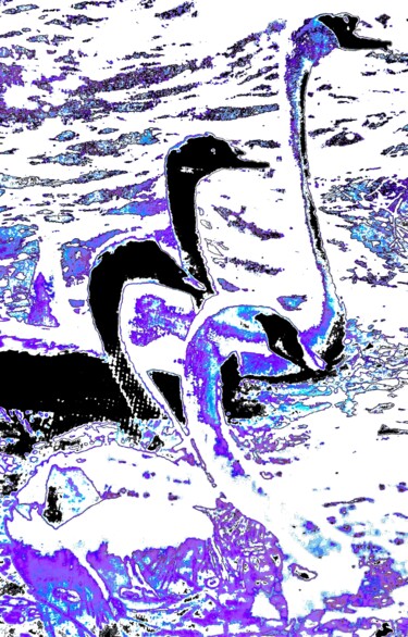 摄影 标题为“4 Swans 1d” 由Ken Lerner, 原创艺术品, 数码摄影