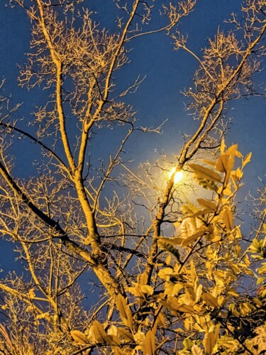 Photography titled "Les nuits d'automne" by Béatrice Marie Penaud, Original Artwork, Digital Photography