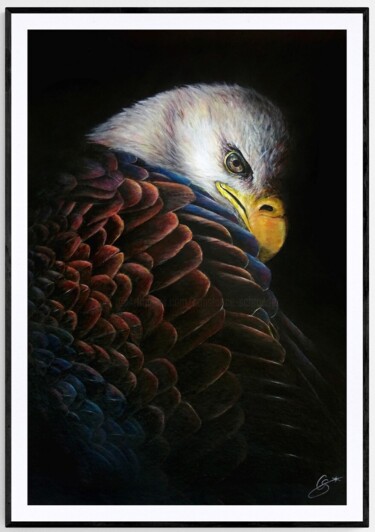 Tirage 40x60 cm Eagle