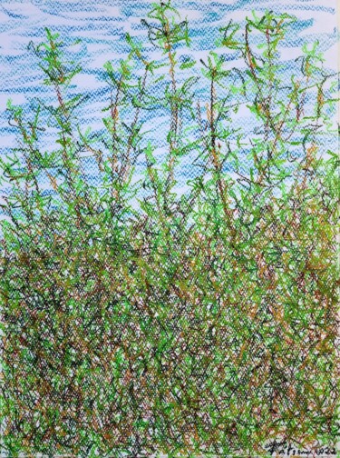 Painting titled "N.° 6 Outside Perce…" by Fatima Sardinha, Original Artwork, Pastel Mounted on Glass
