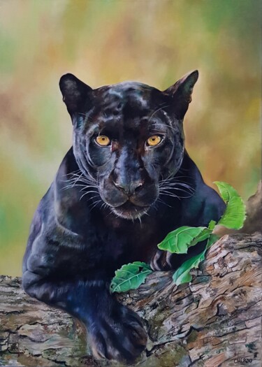 Painting titled "Charlie" by Lucile Cherdo, Original Artwork, Oil Mounted on Wood Stretcher frame