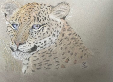 图画 标题为“Leopard's portrait” 由Anna Killinger, 原创艺术品, 铅笔