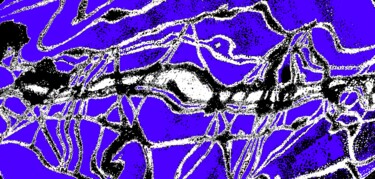 Portuguese Man-o-war Catching an Eel 1d 摄影 标题为“Portuguese Man-o-wa…” 由Ken Lerner, 原创艺术品, 数码摄影