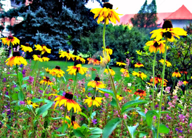 Photography titled "Europe - Flower of…" by Clement Tsang, Original Artwork, Digital Photography