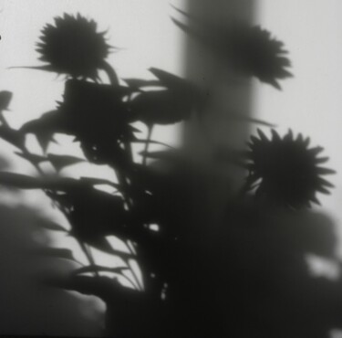 Ombre et Lumière II