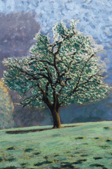 제목이 "Arbre dans la brume"인 사진 Pierre-Marie Fenech로, 원작, 조작된 사진