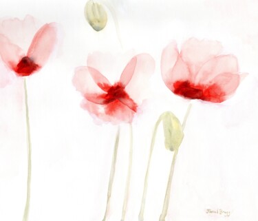 Poppies from Memory