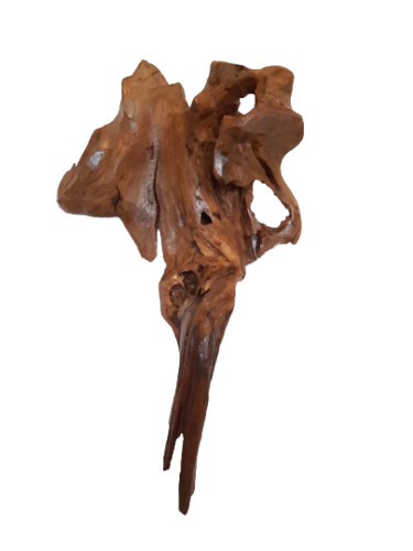 雕塑 标题为“Wood sculpture for…” 由Lara Shabelnik, 原创艺术品, 木 安装在artwork_cat.上