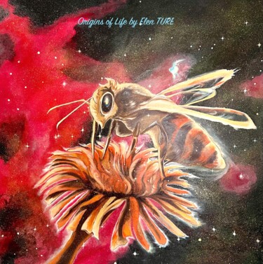 Foraging bee - Ara constellation