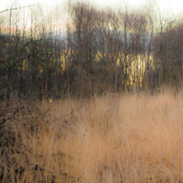 Photographie intitulée "les Saisons 115" par Nana Plamadeala-Kiritchenko, Œuvre d'art originale, Photographie non manipulée