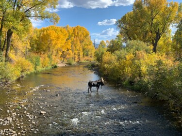 Photography titled "Majestic" by Philip Fees, Original Artwork, Digital Photography