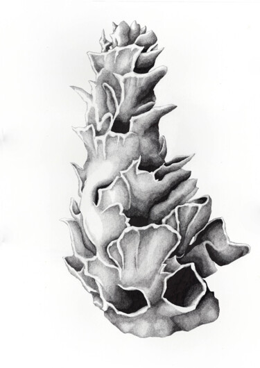 「Scorie • Eclat II」というタイトルの描画 Séverine Bourgeoisによって, オリジナルのアートワーク, インク