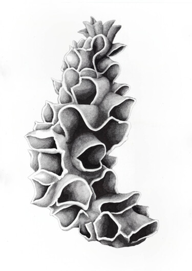 「Scorie • Eclat III」というタイトルの描画 Séverine Bourgeoisによって, オリジナルのアートワーク, インク