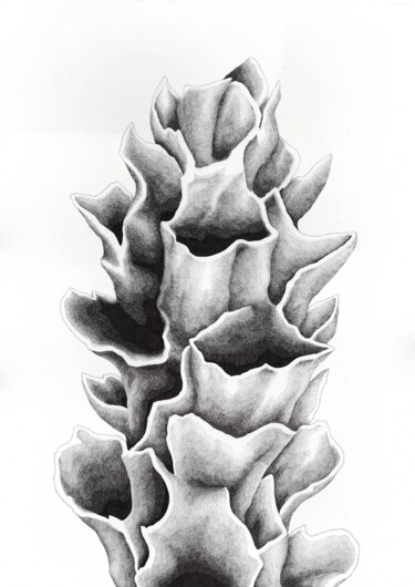 「Scorie • Eclat IX」というタイトルの描画 Séverine Bourgeoisによって, オリジナルのアートワーク, インク