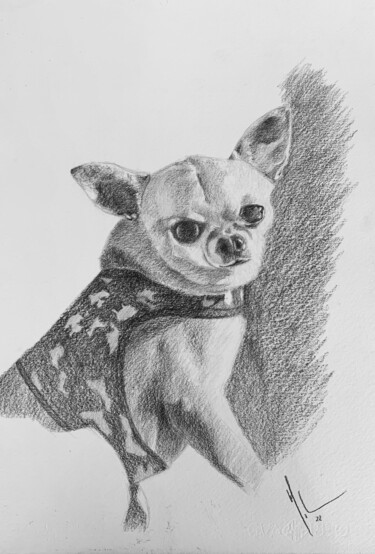 Zeichnungen mit dem Titel "Frida" von Juan José Molina Gallardo, Original-Kunstwerk, Bleistift