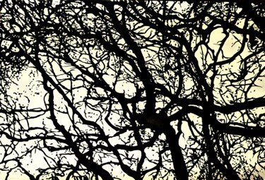 Drawing titled "Structures et ramur…" by Camille Escudero, Original Artwork, Ink