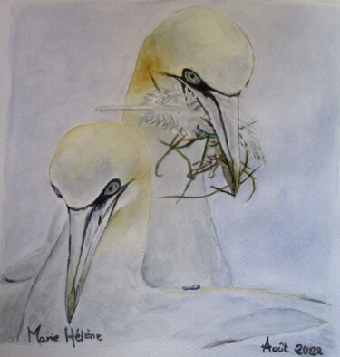 Painting titled "Couple de Bassans" by Bilitis, Original Artwork, Watercolor