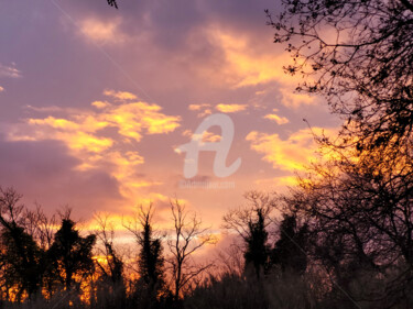 Couleurs, nuages et silhouettes végétales Photography titled "Couleurs, nuages et…" by Artenseo, Original Artwork, Digital Photography
