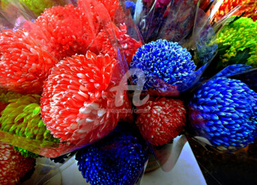 Colourful Hydrangea in Hong Kong Photographie intitulée "Colourful Hydrangea…" par Clement Tsang, Œuvre d'art originale, Photographie numérique