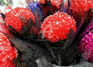 Orange Hydrangea in Hong Kong Photographie intitulée "Orange Hydrangea in…" par Clement Tsang, Œuvre d'art originale, Photographie numérique