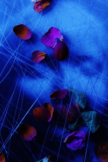 Photographie intitulée "Mise en Scène 2" par Didier Hamonet, Œuvre d'art originale, Photographie numérique