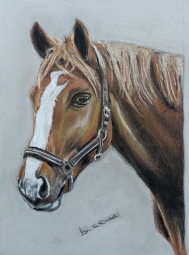 "Horse" başlıklı Resim Ebru Süsoy Şimşek tarafından, Orijinal sanat, Tebeşir