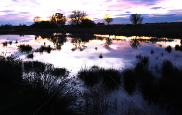 étang de Mauguio - crépuscule hivernal Photographie intitulée "étang de Mauguio -…" par Artenseo, Œuvre d'art originale, Photographie numérique