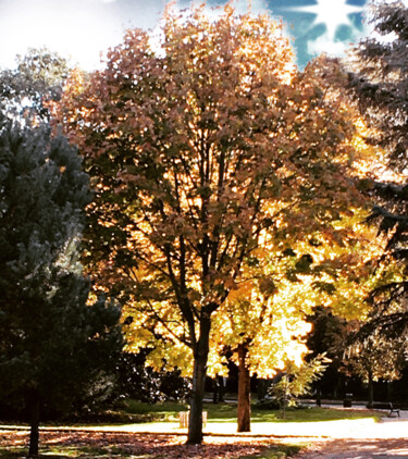 Photography titled "Automne" by Patrick Maze, Original Artwork, Digital Photography