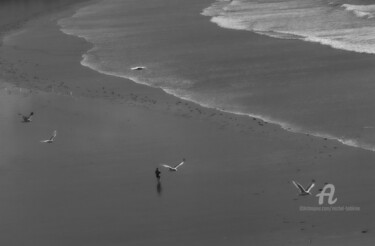 Photographie intitulée "envolée" par Michel Babkine, Œuvre d'art originale, Photographie numérique