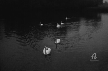 Photography titled "Black and White" by Oleg Andrienko, Original Artwork, Digital Photography