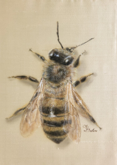 绘画 标题为“Silky Bee” 由Olga Belova, 原创艺术品, 丙烯